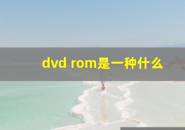 dvd rom是一种什么